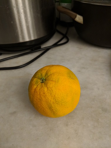 Test Image: Orange