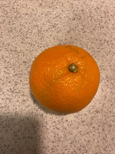 Test Image: Orange